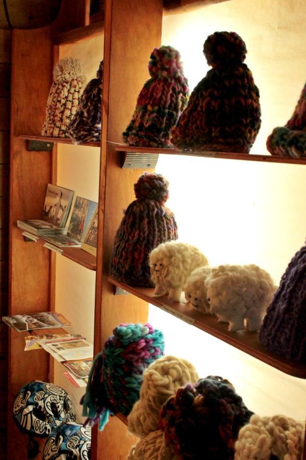 Hospedaje Isla Magdalena プンタアレナス 部屋 写真